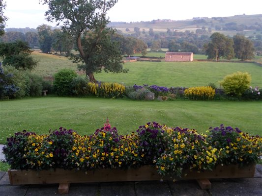 summer view from patio